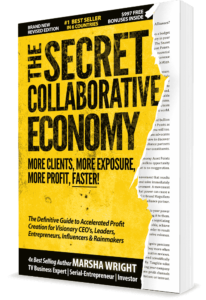SMALL BUNDLE 10 BOOKS+BONUSES The Secret Collaborative Economy